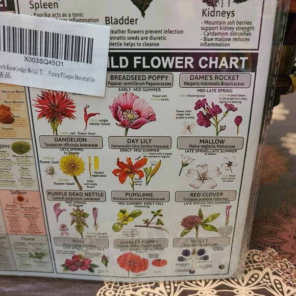 Wholistic Nature Metal Tin First Aid Cooking Remedies Education Info Resource - Picture 5 of 6